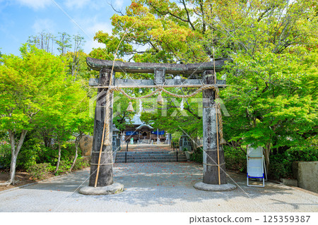 Spring at Yotohime Shrine, Saga City, Saga Prefecture Spring at Yotohime Shrine, Saga City, Saga Prefecture 125359387