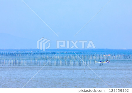 佐賀縣太良町有明海的春天、海苔養殖 125359392