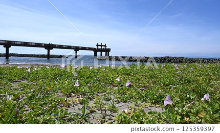 戀人的聖地 125359397