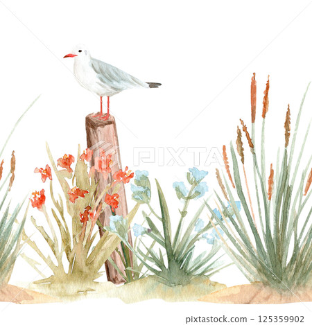 Wild grass, seagull standing on a pole watercolor seamless border isolated on white. Hand painted eco design. Clipart perfect for cards, banners, textile, book design, stationary decor. Sea side Wild grass, seagull standing on a pole watercolor seamless border isolated on white. Hand painted eco design. Clipart perfect for cards, banners, textile, book design, stationary decor. Sea side 125359902