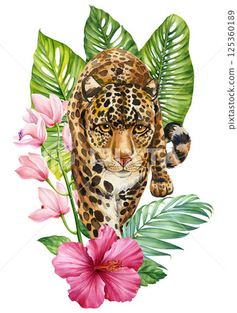 Watercolor cheetah with orange hibiscus flowers and green tropical leaves. Wild cat jungle animal art white background 125360189