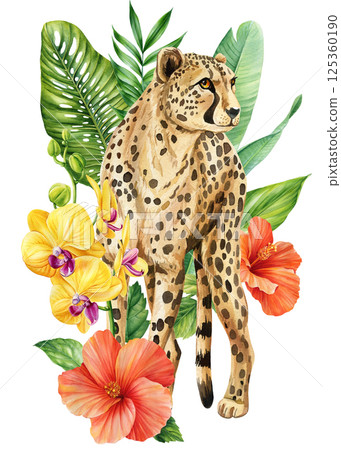 Watercolor cheetah with hibiscus, orchids and tropical green leaves. Jungle floral wild cat illustration African wild  125360190