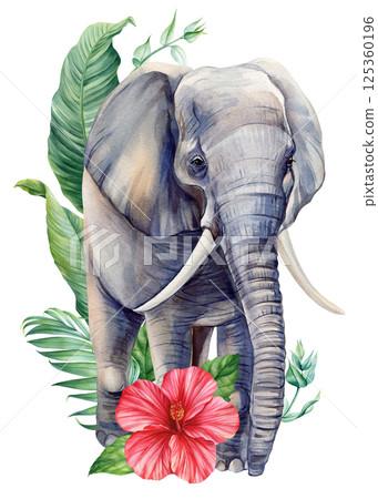 Watercolor elephant, white hibiscus flowers and green tropical leaves. Safari animal art with botanical jungle elements 125360196