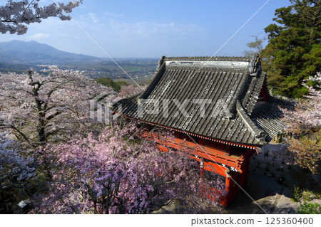 Romantic Ibaraki (Looking down from Mt. Amabiki, you can see Mt. Tsukuba in the background, and the majestic Niomon Gate surrounded by splendid cherry blossoms in the foreground.) Amabiki Kannon Romantic Ibaraki (Looking down from Mt. Amabiki, you can see Mt. Tsukuba in the background, and the majestic Niomon Gate surrounded by splendid cherry blossoms in the foreground.) Amabiki Kannon 125360400