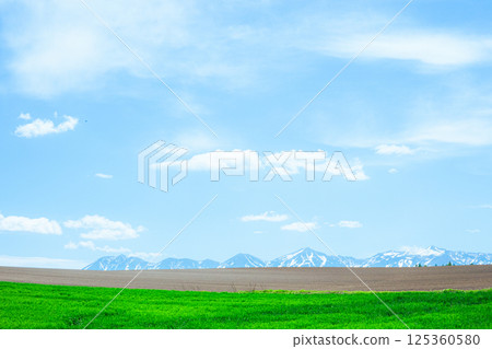 A typical Hokkaido scene in early summer with a fragrant breeze 125360580