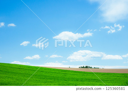 A typical Hokkaido scene in early summer with a fragrant breeze A typical Hokkaido scene in early summer with a fragrant breeze 125360581