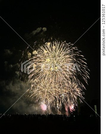 Fireworks Fireworks 125361017