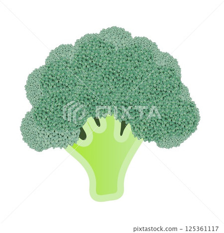 西蘭花的插圖 125361117