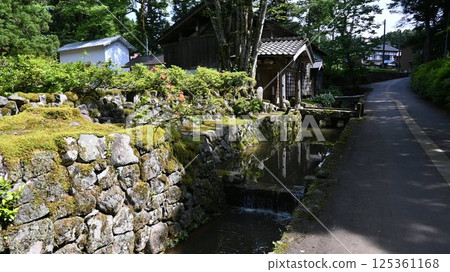 Teikan-en Garden and Gardens 125361168