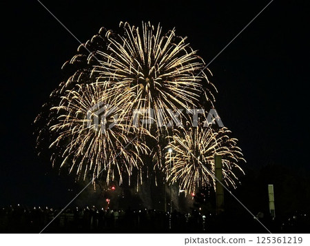 Fireworks 125361219