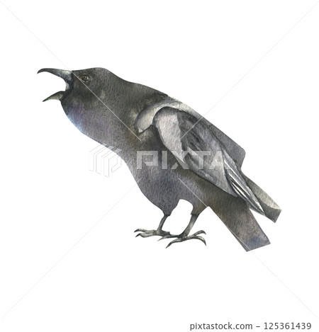 Black raven watercolor illustration. Crow bird isolated clipart, wild bird,symbol of death painting for Halloween,gothic,scary poster, card,invitation design 125361439