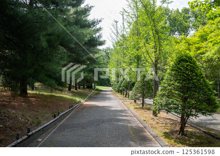 在綠樹環繞的公園散步 125361598