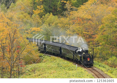 Hakodate line of autumn leaves 125361605