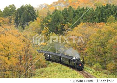 函館秋葉線 125361688