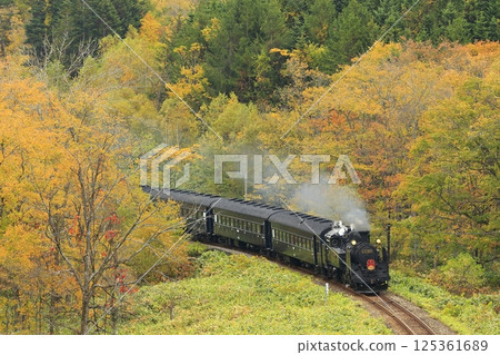 Hakodate line of autumn leaves 125361689