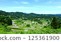 Rice paddy of Star Pass 125361900