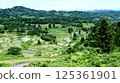 Rice paddy of Star Pass 125361901