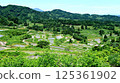Rice paddy of Star Pass 125361902