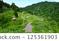 Absent-born rice terraces 125361903