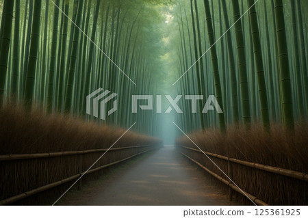 A view of the bamboo grove from the west end 125361925