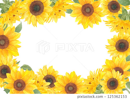 以透明水彩繪製的向日葵花背景框材料 125362153