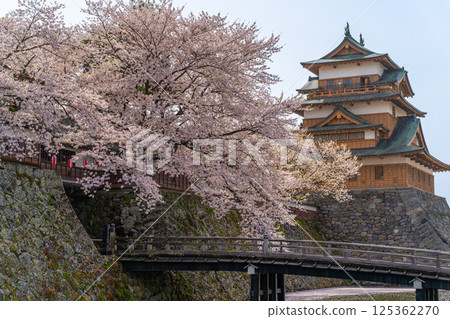Takashima Castle, cherry blossoms in full bloom, cherry blossom snowstorm [Suwa City, Nagano Prefecture] 125362270