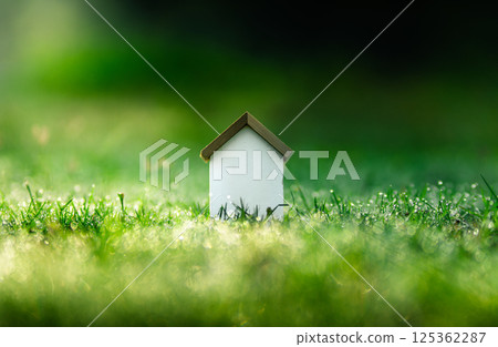Home and environment concept background. Toy house background on summer lawn. Home and environment concept background. Toy house background on summer lawn. 125362287