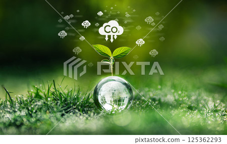 Carbon and nature conservation, World Day and Sustainable Environment Carbon and nature conservation, World Day and Sustainable Environment 125362293