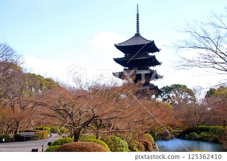 京都府東寺/五層塔（國寶）京都市南區九條町 2022 年 2 月 125362410