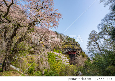 Cherry blossoms at Nunobiki Kannon Temple, Komoro City, Nagano Prefecture Cherry blossoms at Nunobiki Kannon Temple, Komoro City, Nagano Prefecture 125362473