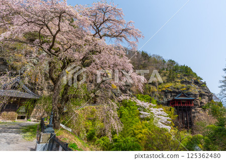 Cherry blossoms at Nunobiki Kannon Temple, Komoro City, Nagano Prefecture Cherry blossoms at Nunobiki Kannon Temple, Komoro City, Nagano Prefecture 125362480