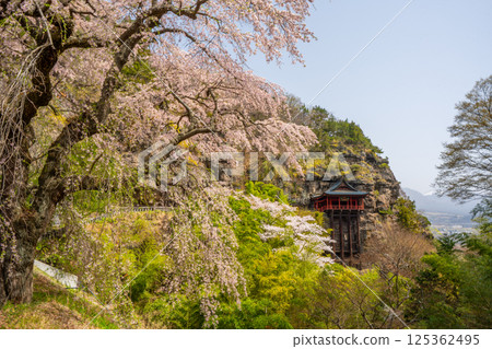 Cherry blossoms at Nunobiki Kannon Temple, Komoro City, Nagano Prefecture Cherry blossoms at Nunobiki Kannon Temple, Komoro City, Nagano Prefecture 125362495