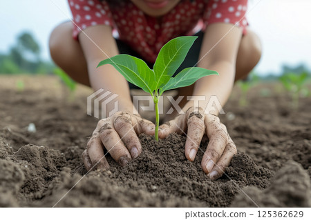Woman is planting a small green plant in the soil. 125362629