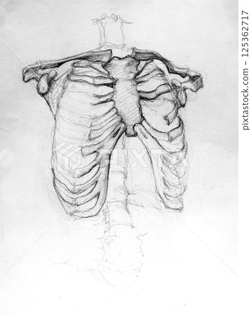pencil drawing illustration, sketch, hand made 125362717