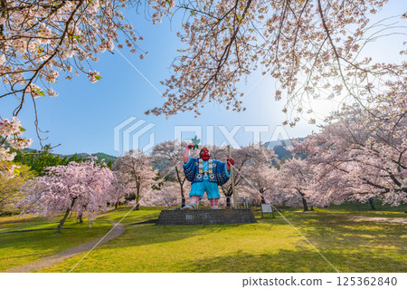 Japan's best Tengu and cherry blossoms: Tokura Kitty Park (Chikuma City, Nagano Prefecture) Japan's best Tengu and cherry blossoms: Tokura Kitty Park (Chikuma City, Nagano Prefecture) 125362840