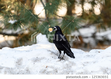 _ALX2434.NEF _ALX2434.NEF 125363031