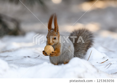 _ALX2493.NEF _ALX2493.NEF 125363056