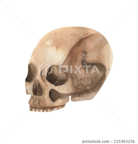Skull watercolor gothic illustration. Hand drawn Halloween clipart, scary jaw clipart, dead head for festive card,poster, invitation design. Isolated on white 125363256