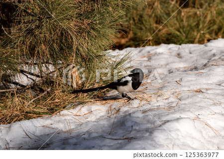 _ALX1971.NEF _ALX1971.NEF 125363977