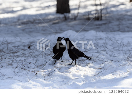 _ALX2307.NEF 125364022