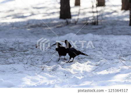 _ALX2310.NEF _ALX2310.NEF 125364517