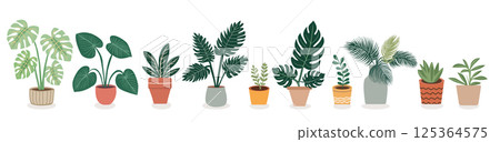 Different types of exotic potted house plants Different types of exotic potted house plants 125364575