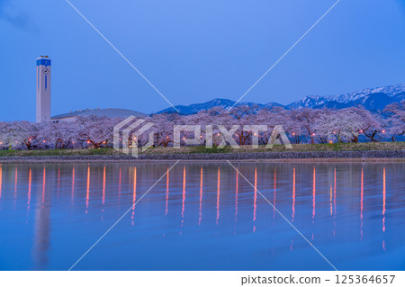(Toyama Prefecture) Asahifune Riverside: Cherry blossoms lit up at night in full bloom (Toyama Prefecture) Asahifune Riverside: Cherry blossoms lit up at night in full bloom 125364657