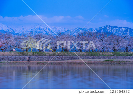 （富山縣）旭船川畔：燈光璀璨的櫻花與北阿爾卑斯的白雪 125364822