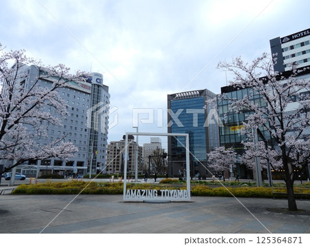 車站前櫻花盛開的春天風景 車站前櫻花盛開的春天風景 125364871