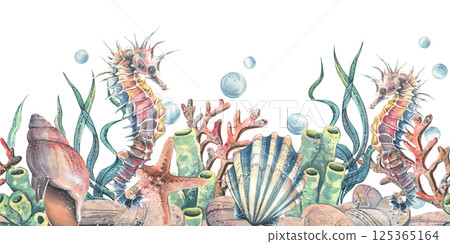 Seahorse seashells, seaweed, starfish, corals, sea sponges and pebbles, bubbles. Marine, nautical watercolor illustration of the underwater world hand drawn. Seamless pattern horizontal border 125365164