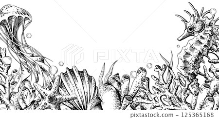 Seahorse, jellyfish, seashell, coral, starfish, sea sponge, algae, pebbles and bubbles. Hand drawn graphic illustration in black and white color line art. Frame template horizontal for text on marine Seahorse, jellyfish, seashell, coral, starfish, sea sponge, algae, pebbles and bubbles. Hand drawn graphic illustration in black and white color line art. Frame template horizontal for text on marine 125365168