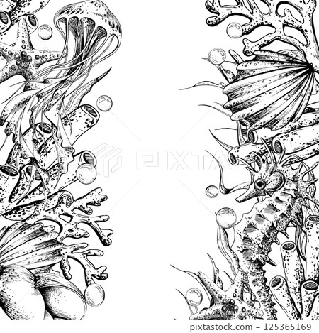Seahorse, jellyfish, seashell, coral, starfish, sea sponge, algae, pebbles and bubbles. Hand drawn graphic illustration in black and white color line art. Frame template for text on marine theme 125365169