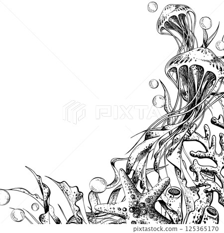 Seahorse, jellyfish, seashell, coral starfish sea sponge, algae, pebbles and bubbles. Hand drawn graphic illustration in black and white color line art. Frame template angular for text on marine theme 125365170
