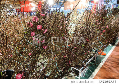 close up of Chinese New Year decoration flower Peach Blossoms in bunches being sold in the flower market at night 125365281